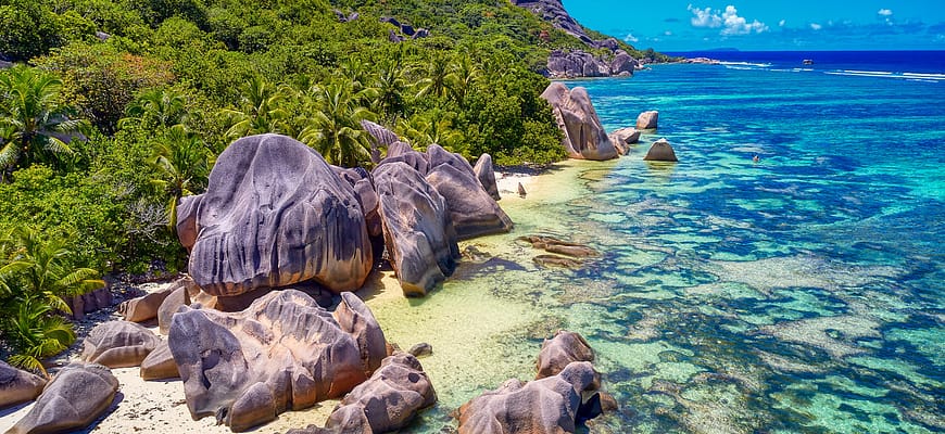 Винский итоги 2021