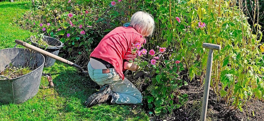 Актуальная профессия для иммиграции
