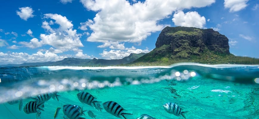 Как попасть на Маврикий с 1 октября 2021