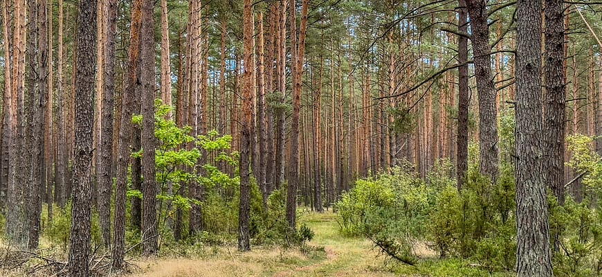 Лечебные санатории в Европе