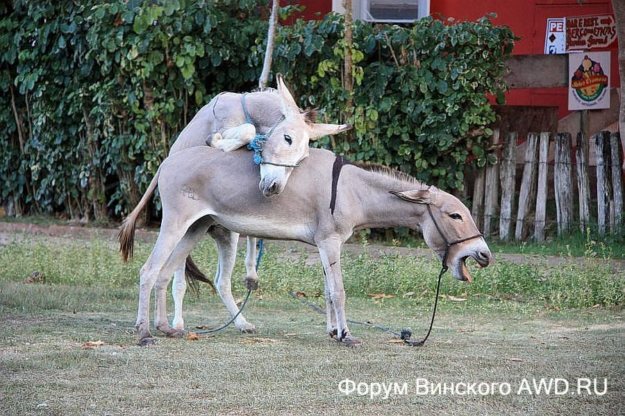 Порту-Сегуру путешествие по Бразилии на авто