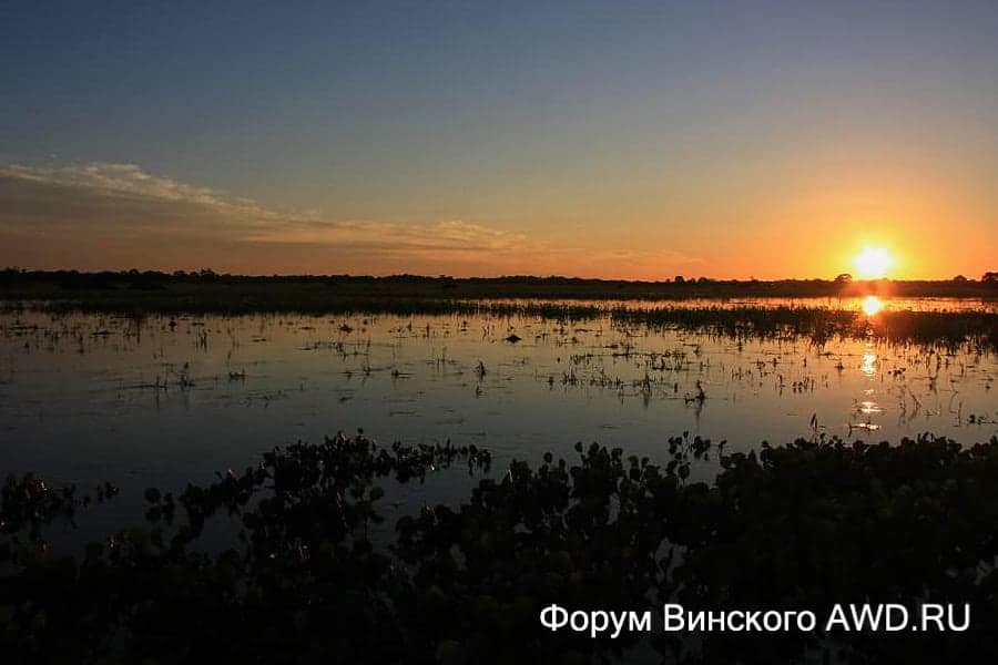 Пантанал национальный парк болота