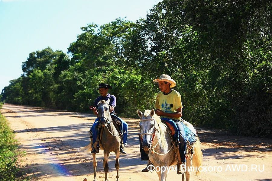 Пантанал национальный парк болота