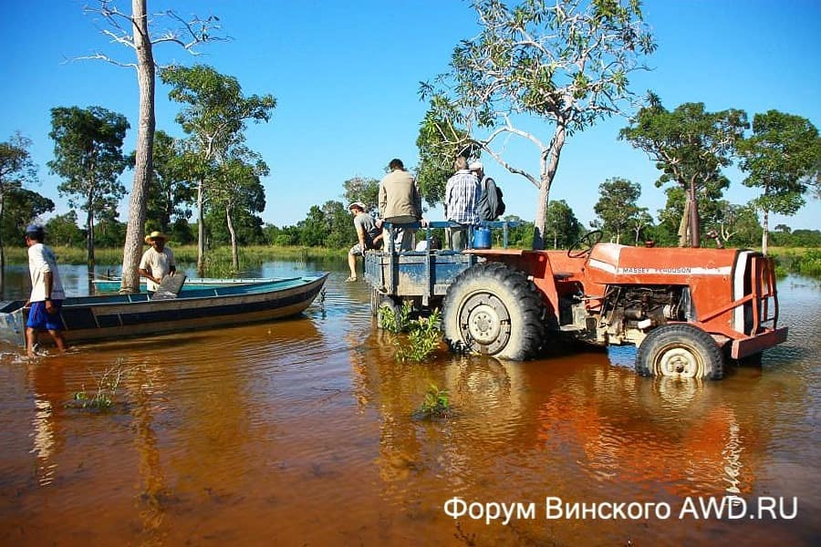 Пантанал национальный парк болота