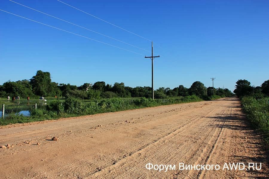 Пантанал национальный парк болота