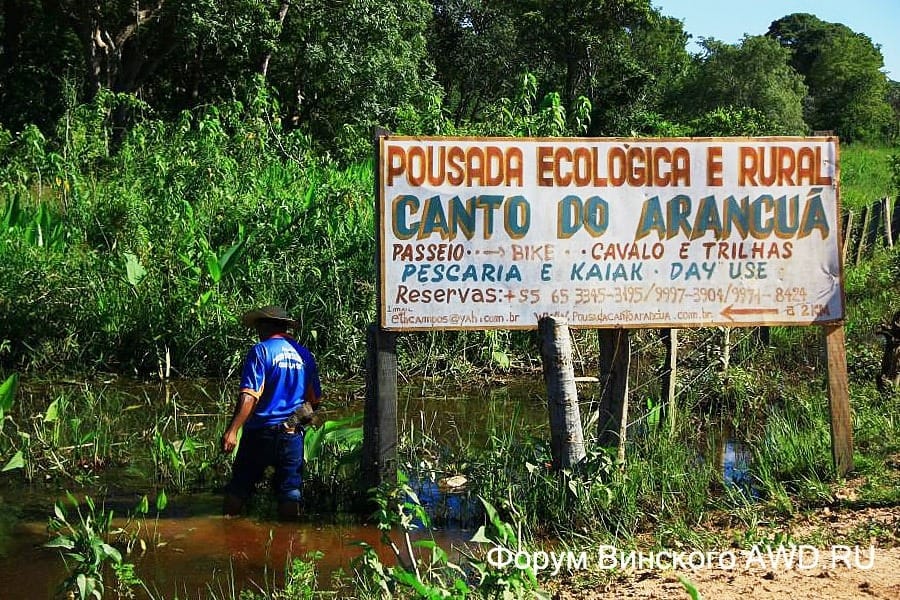 Пантанал национальный парк болота