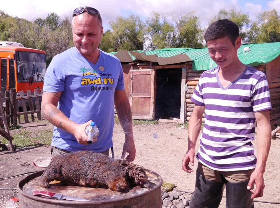 Как приготовить сурка