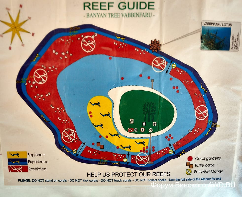 Banyan Tree Vabbinfaru снорклинг