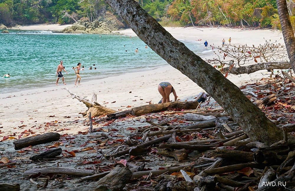 Национальный парк Мануэль Антонио width=