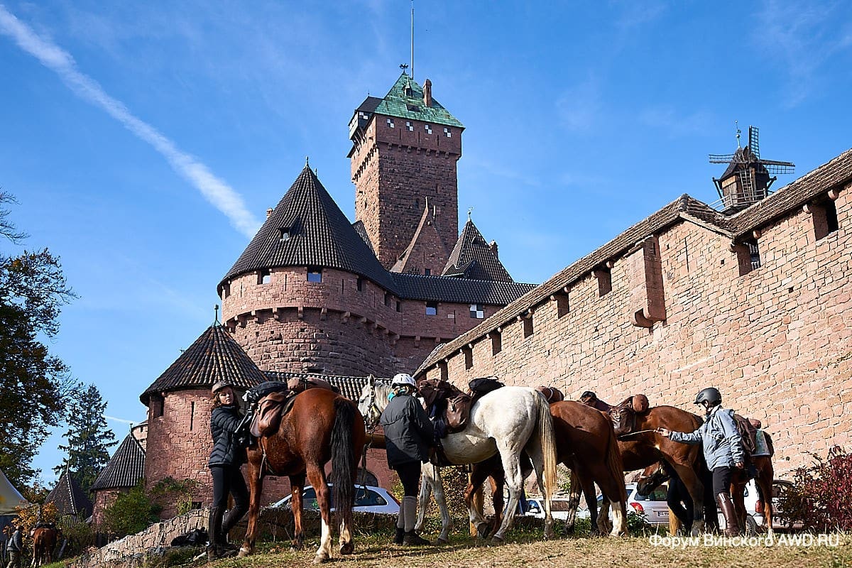 Замок Кенигсбург Эльзас