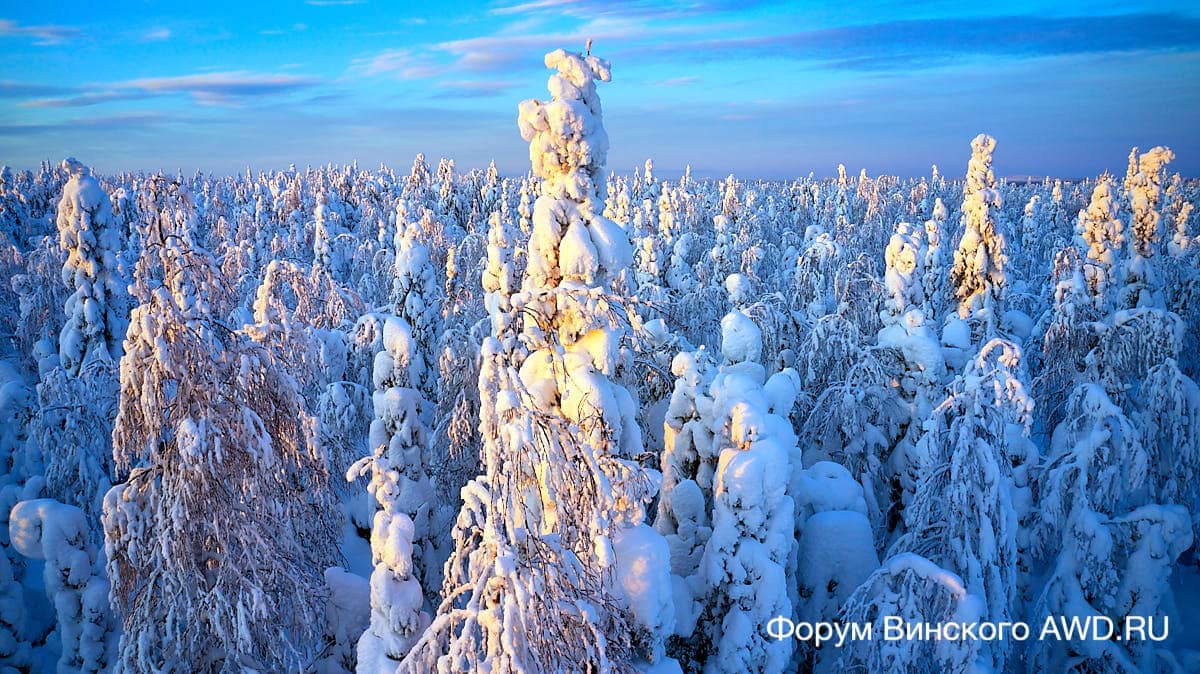 Аренда снегохода в Финляндии