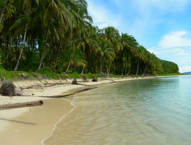 Бокас дель Торо острова Панама