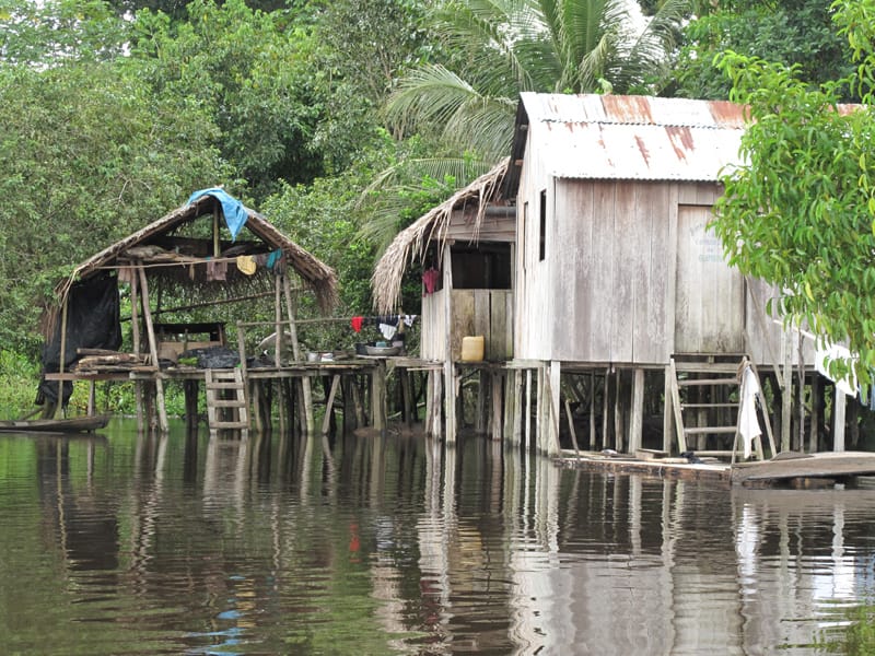 Индейцы Амазонии. Жизнь в джунглях
