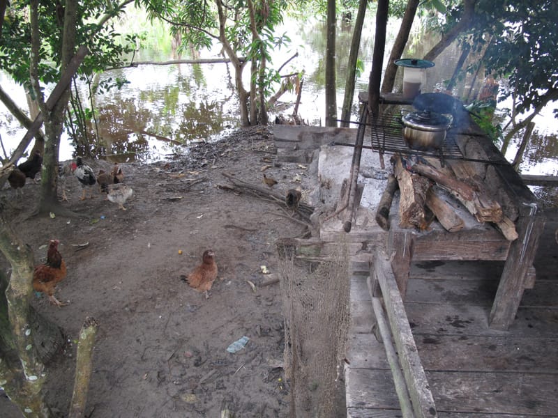 Индейцы Амазонии. Жизнь в джунглях