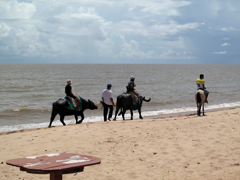 Остров Маражо самый большой остров Бразилии