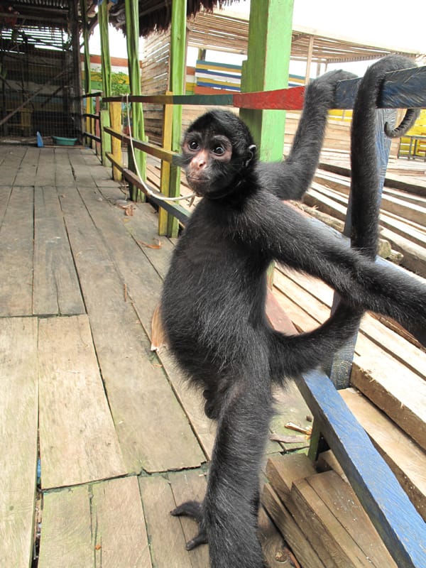 Как открыть свой бизнес за границей