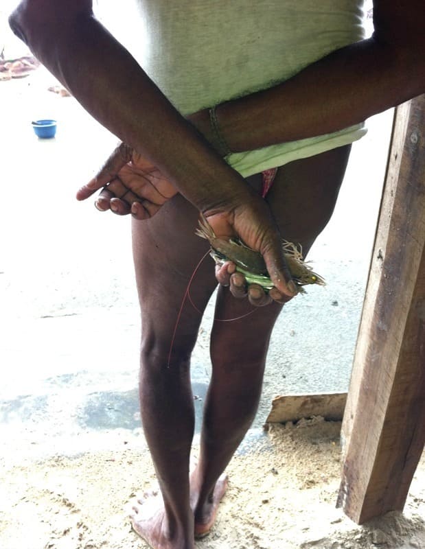 Гоа пляж Палолем