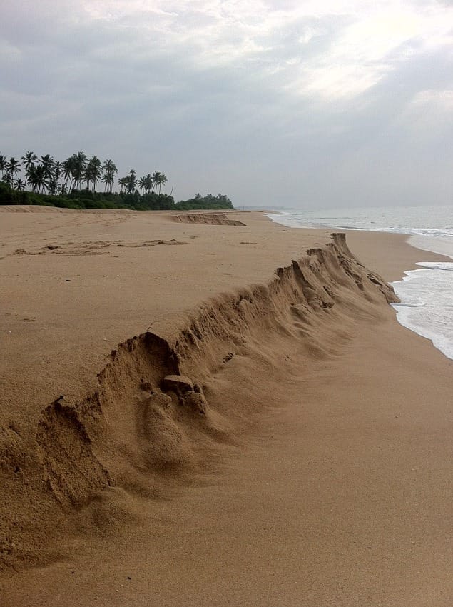 Отдых на Шри-Ланке отзывы