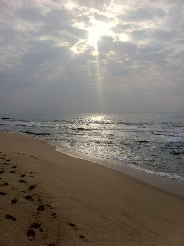 Отдых на Шри-Ланке отзывы