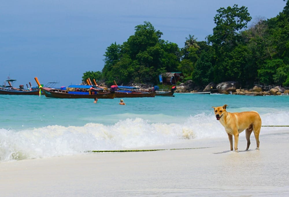 Остров Ко Липе в 2002 году