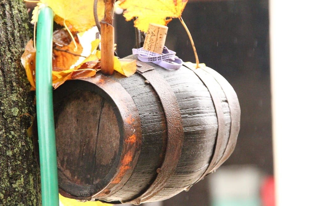 Агротуризм в Италии