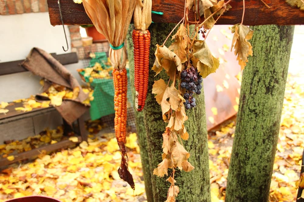 Агротуризм в Италии