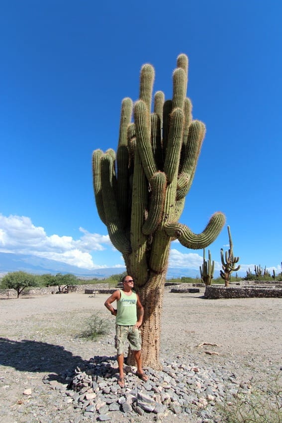 Путешествие по Аргентине на машине от Тукуман до Хухуй (Сальта)