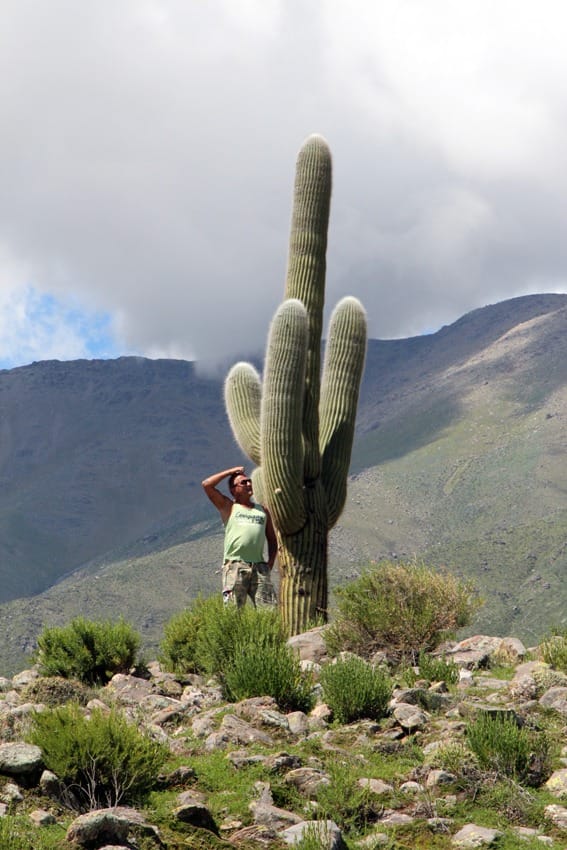 Путешествие по Аргентине на машине
