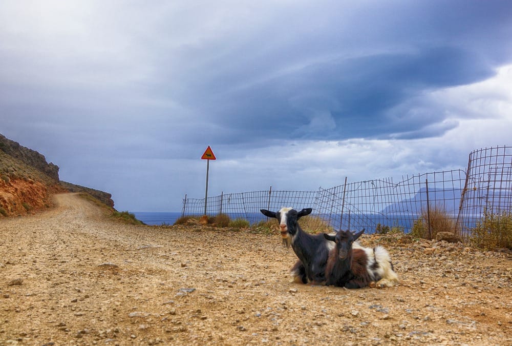 Бухта Балос Крит отзывы