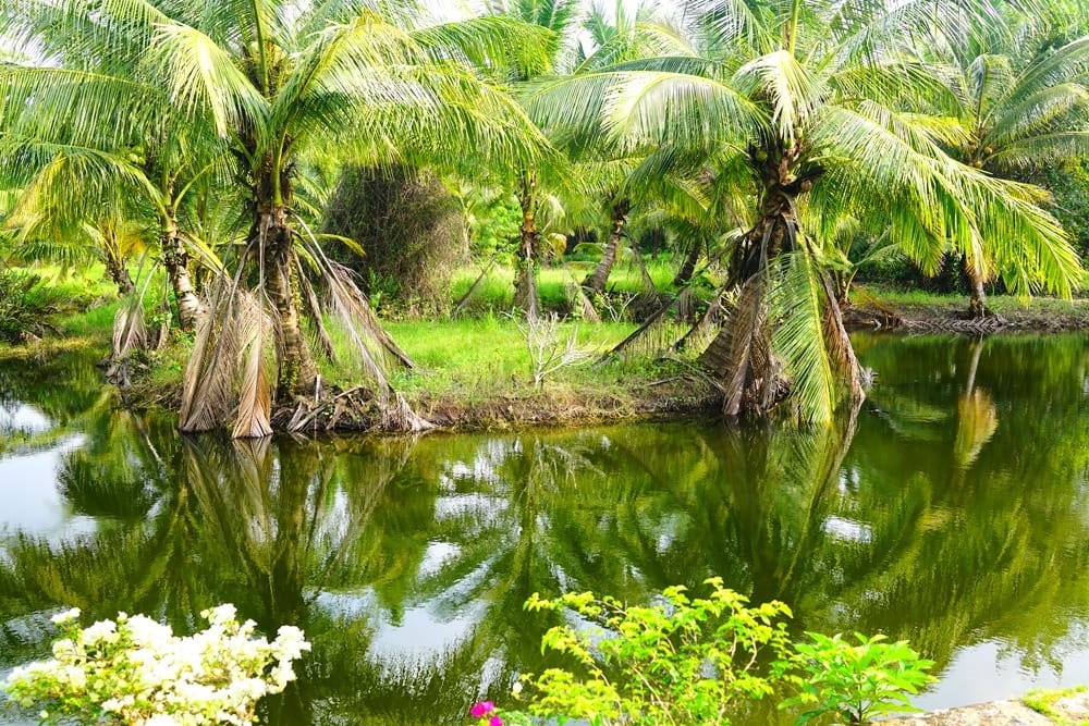 Пляжи Као Лак отзывы