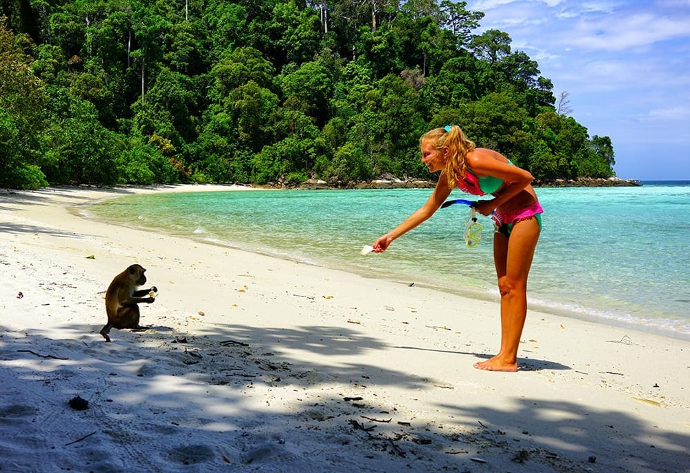 Ко Липе туры на обезьяний остров