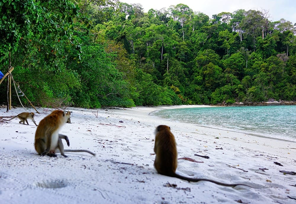Ко Липе туры на другие острова