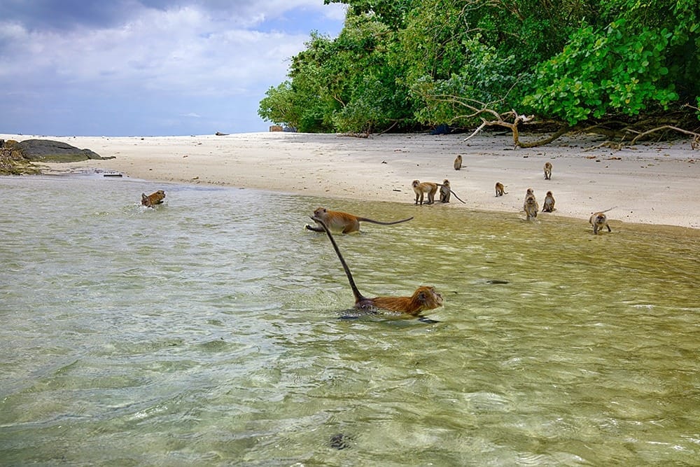 Ко Липе туры на другие острова