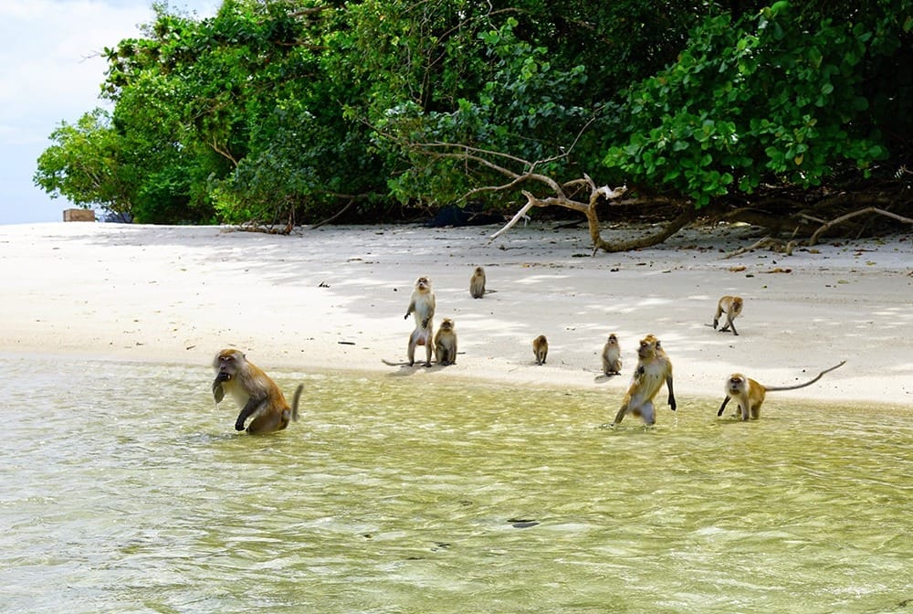 Ко Липе туры на другие острова
