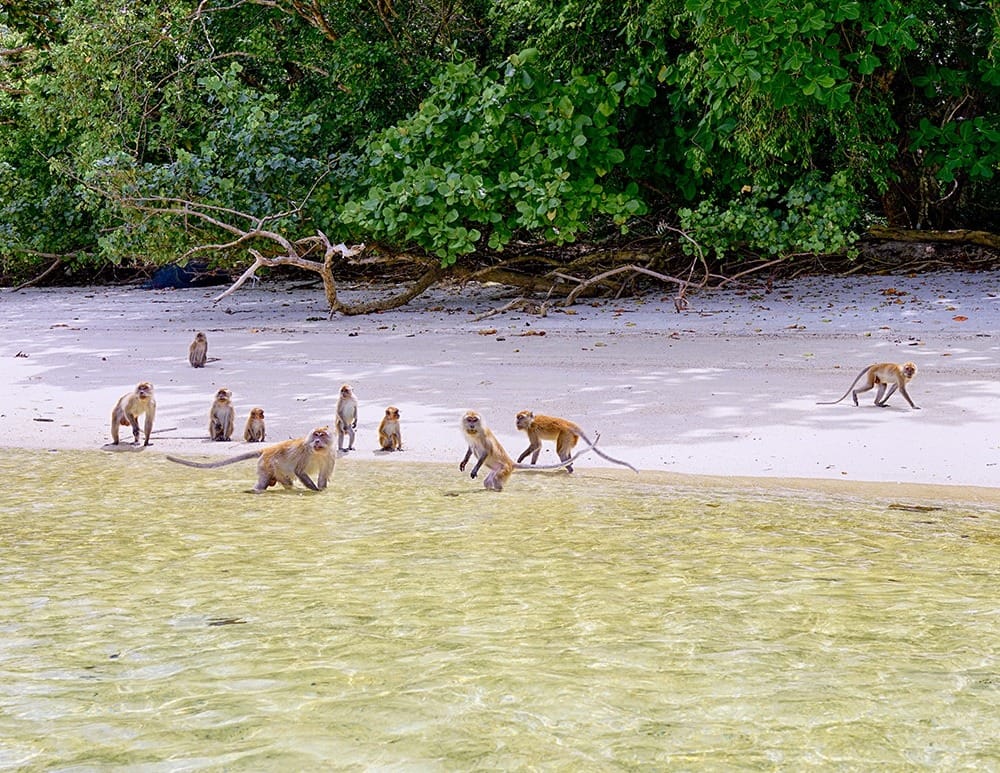 Ко Липе туры на другие острова