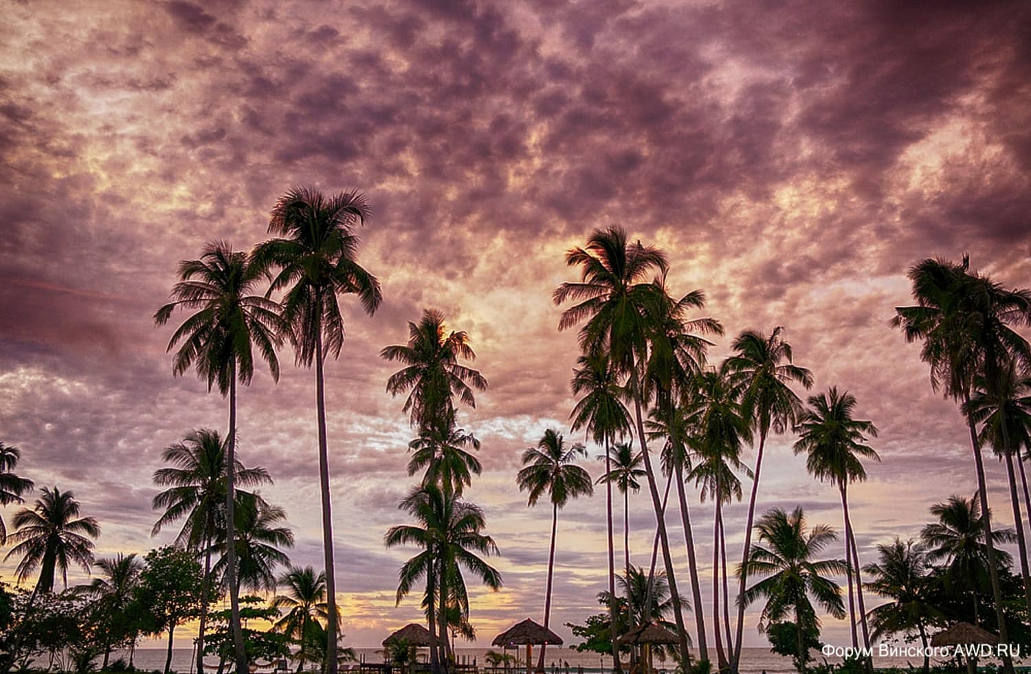 Лодочные туры из Порт Бартон