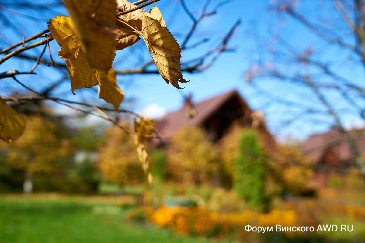 Санаторий в ноябре