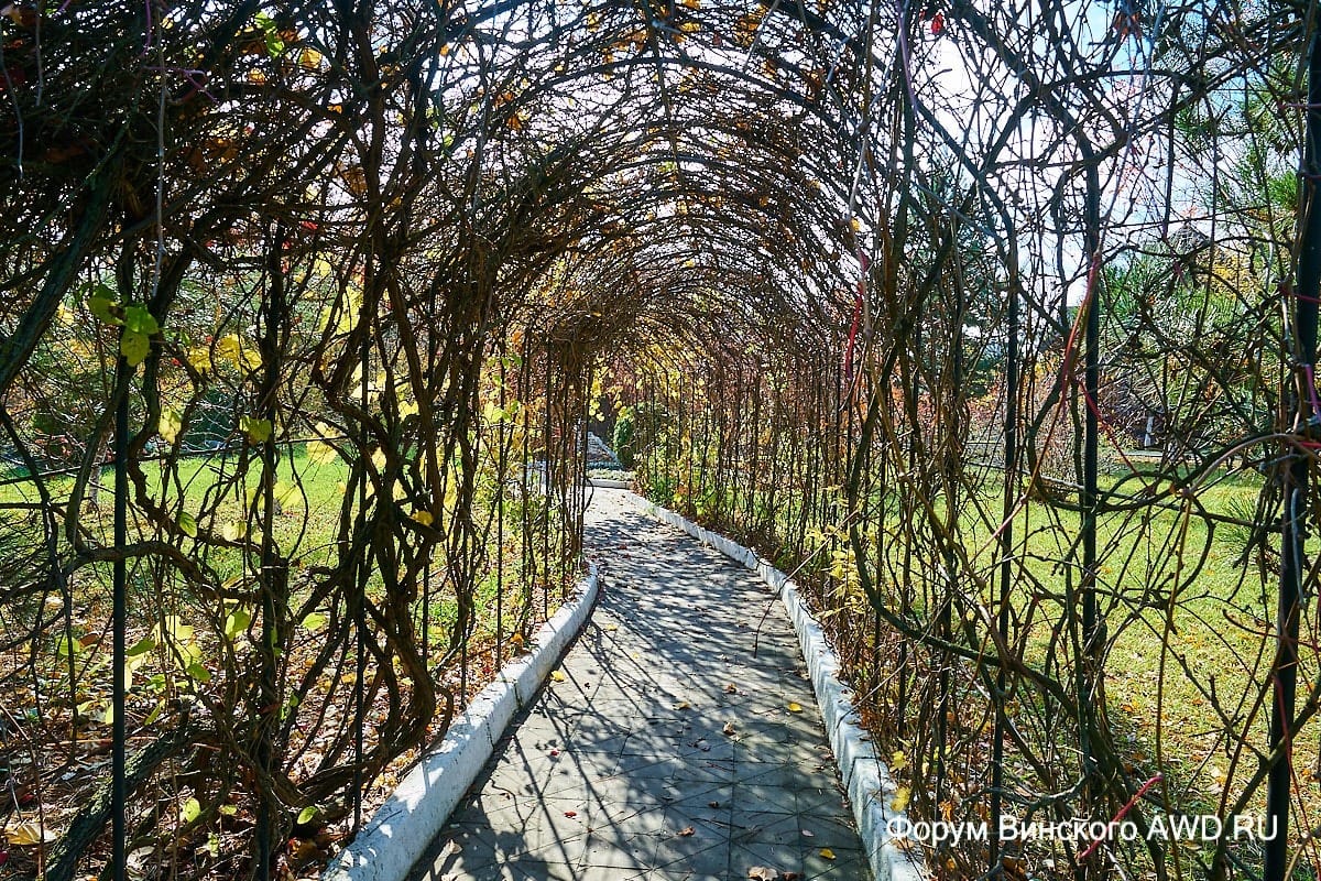 Санаторий в ноябре