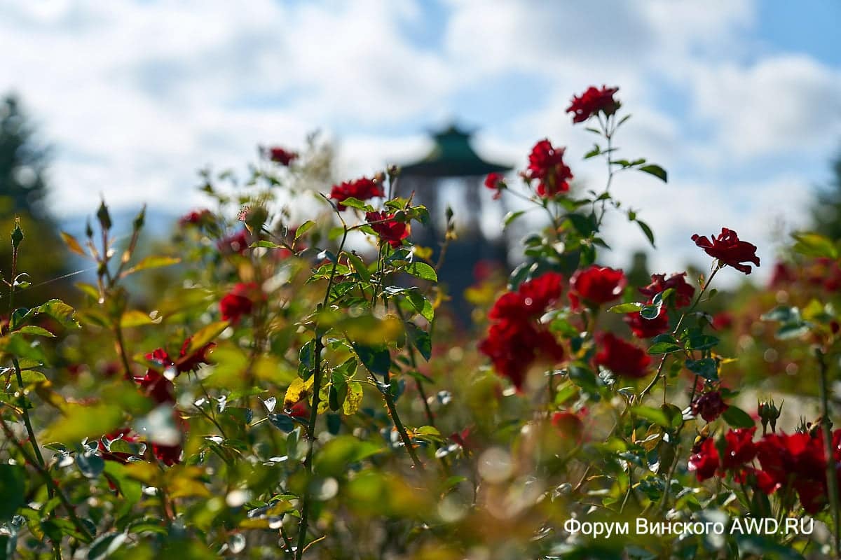 Санаторий в ноябре