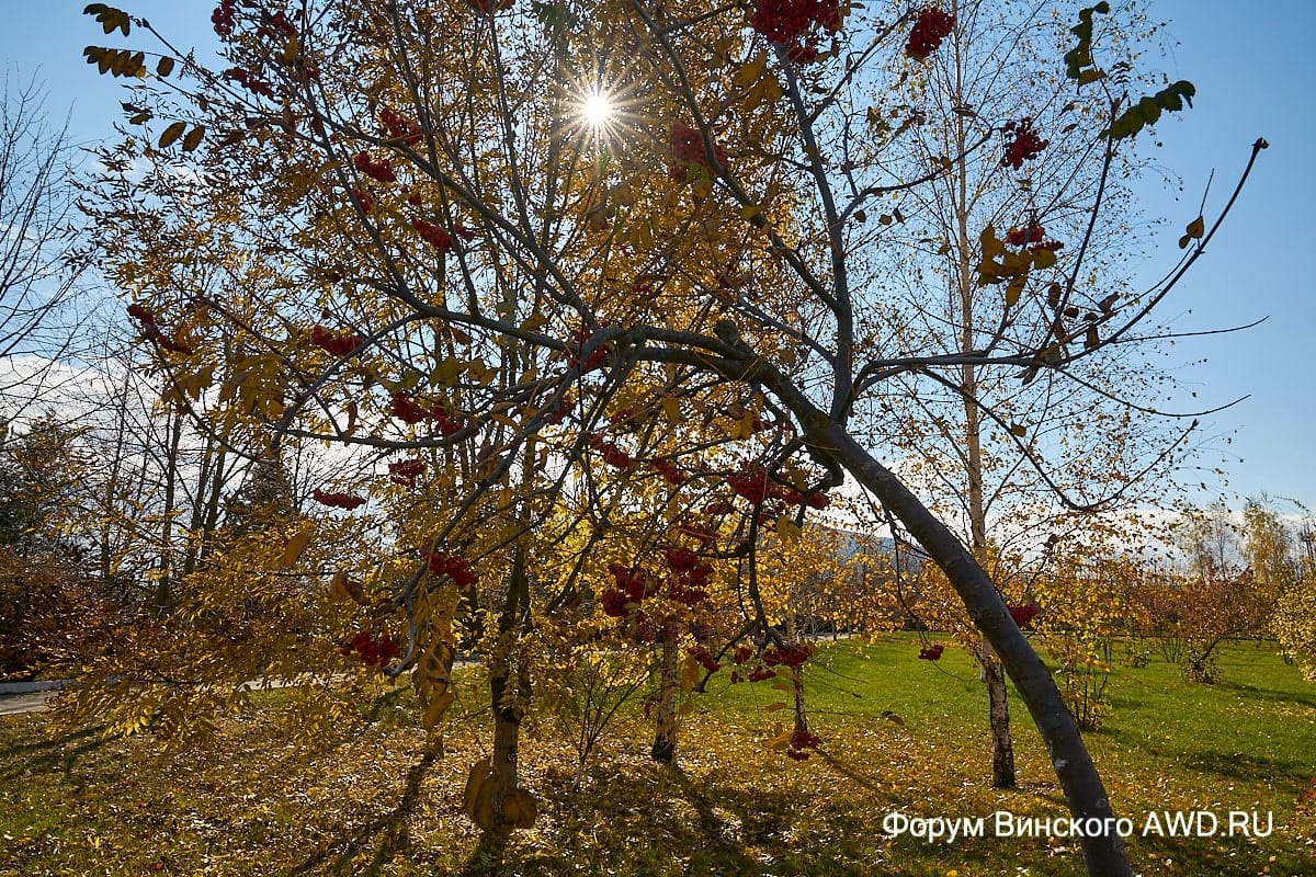 Санаторий в ноябре
