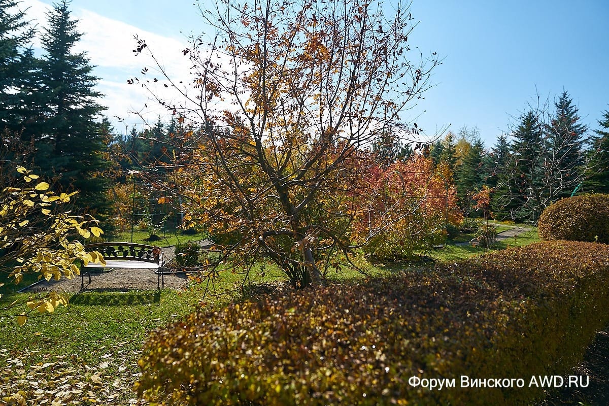 Санаторий в ноябре