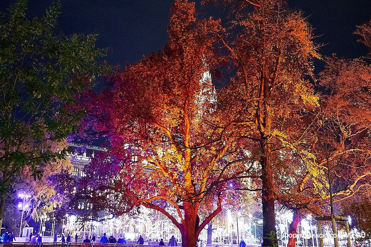 Вена рождественские базары