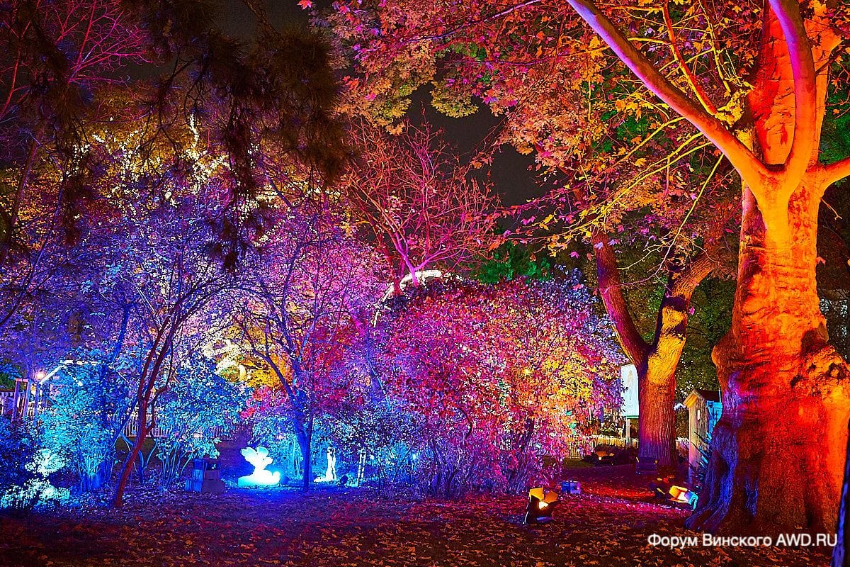 Вена рождественские базары