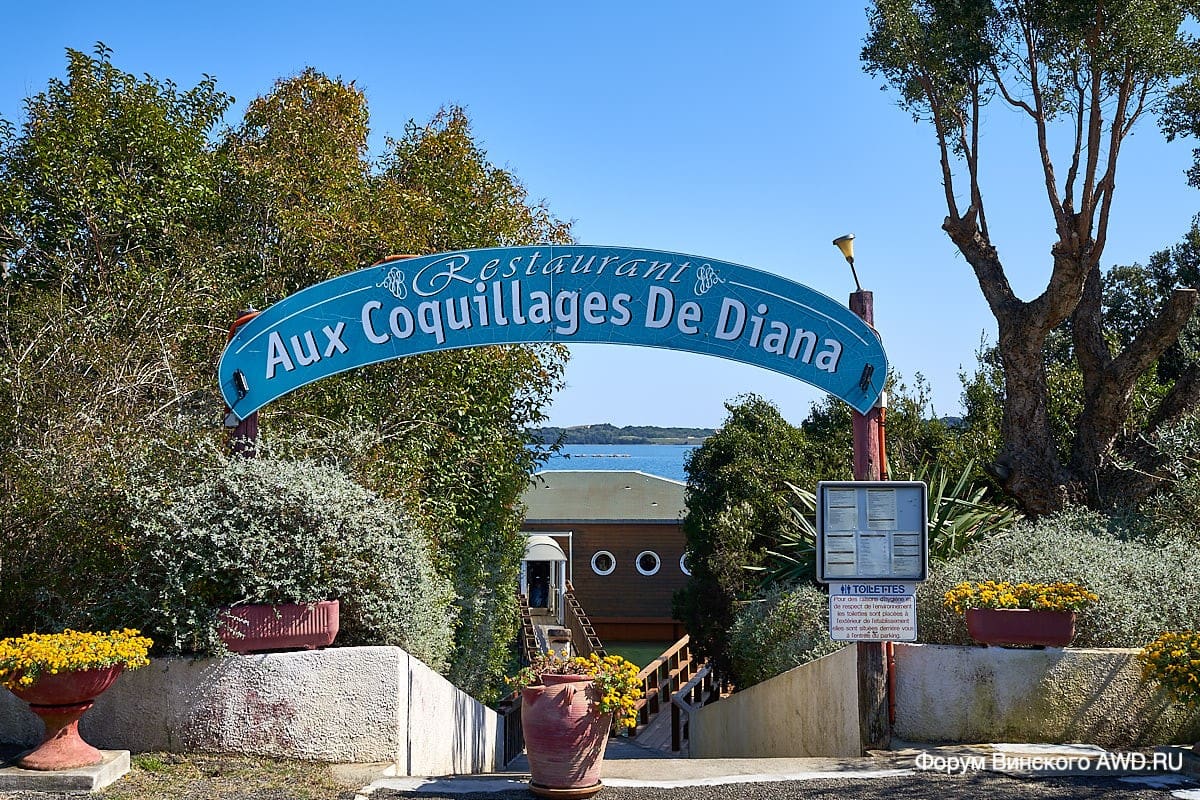 Устрицы на Корсике