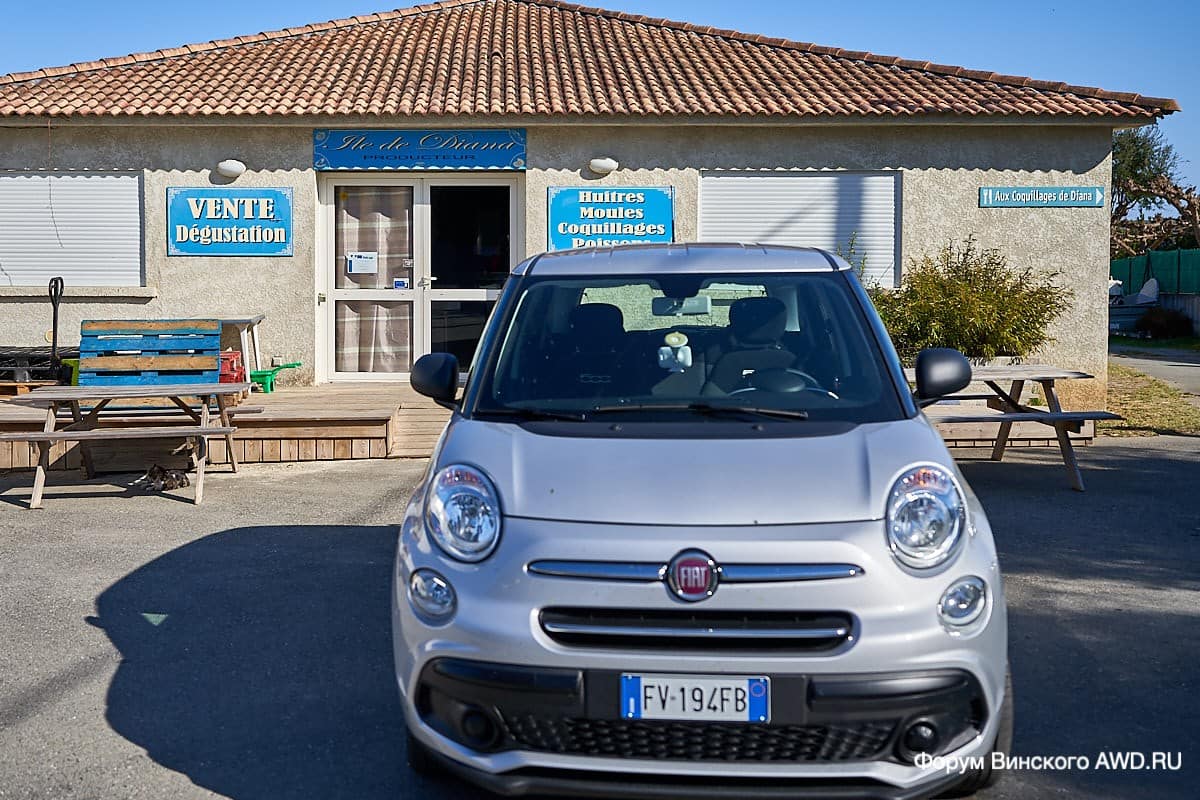 Дегустация устриц Корсика