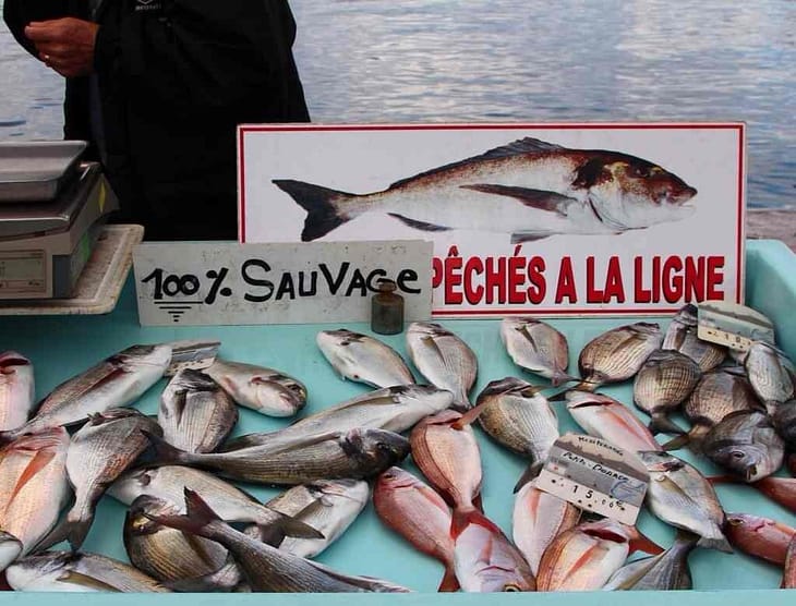 Рыбный рынок в Марселе
