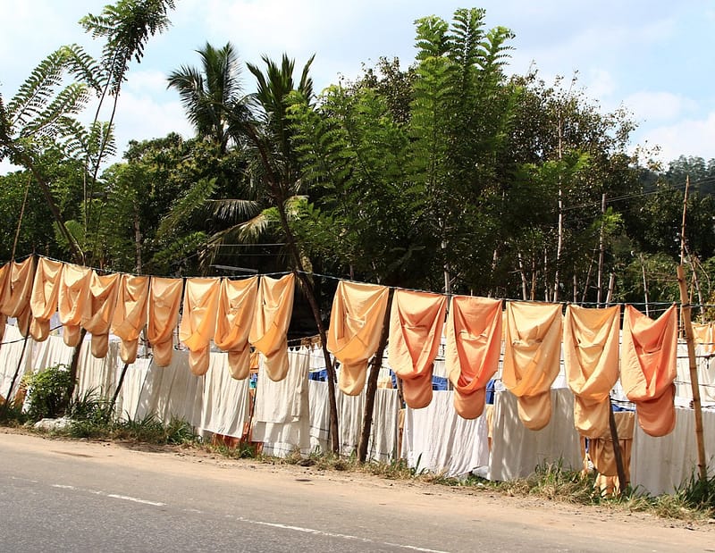 Отдых на Шри-Ланке отзывы