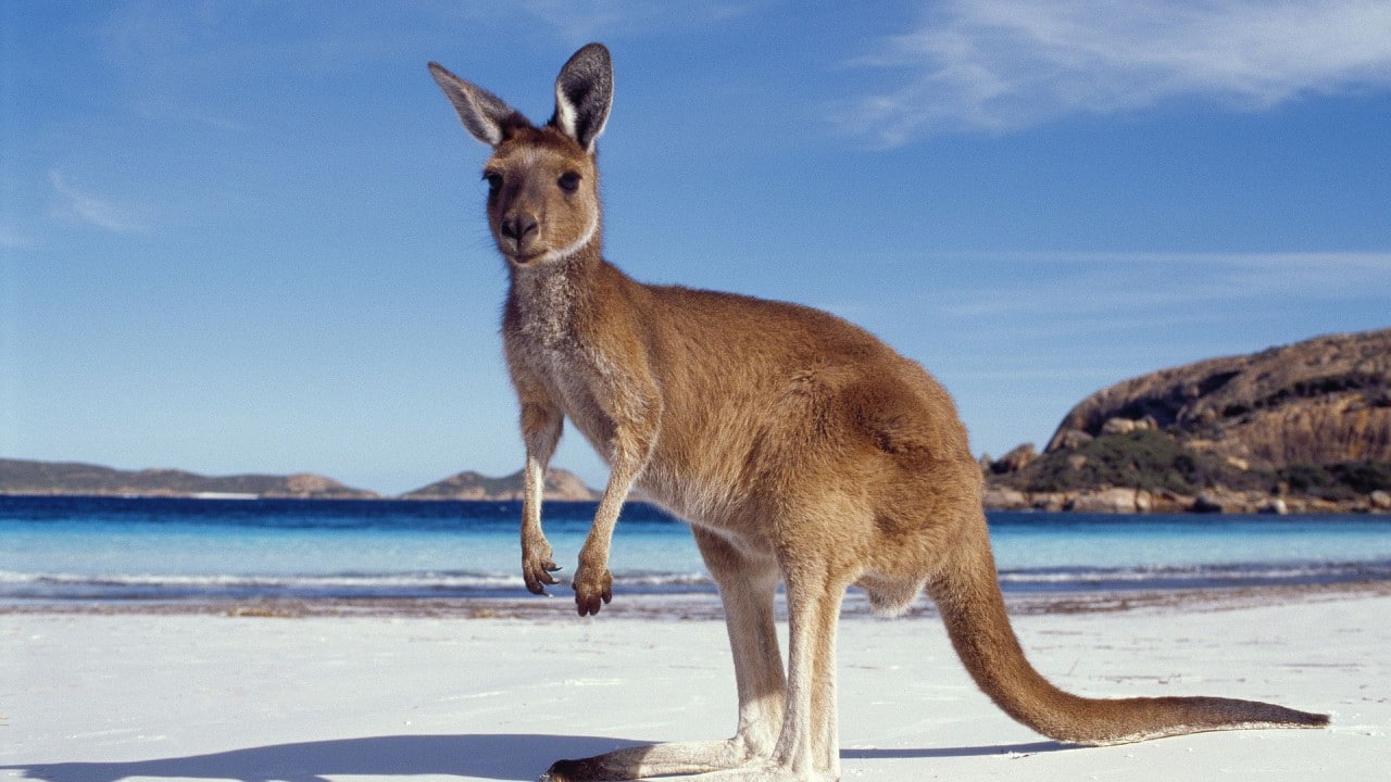 Получение австралийской визы