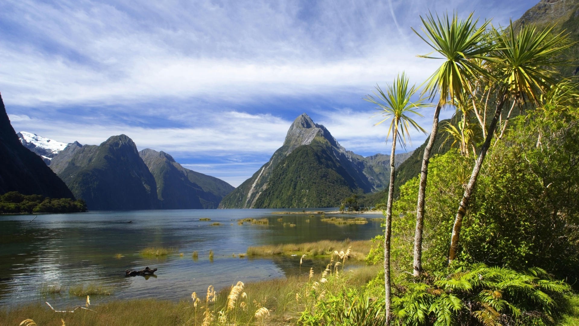 Путешествие в Новую Зеландию